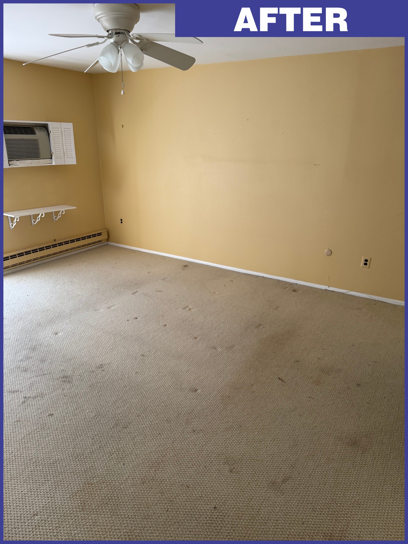 House cleanout after — living room Red Bank NJ cleared and ready for sale